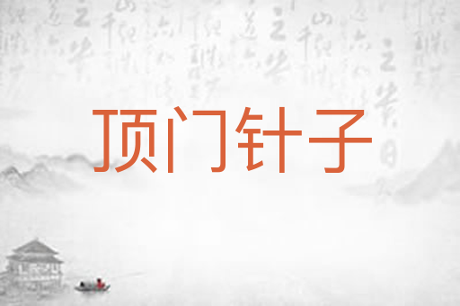 顶门针子