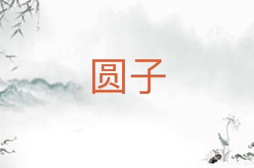 圆子