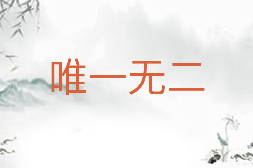 唯一无二