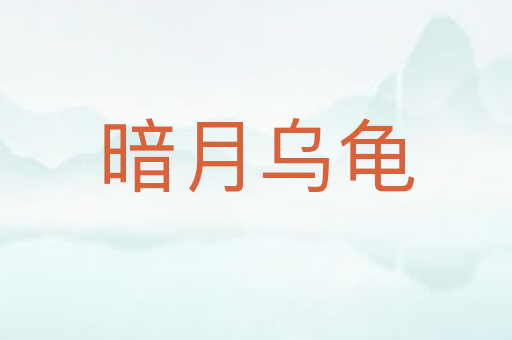 暗月乌龟
