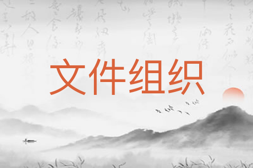 文件组织