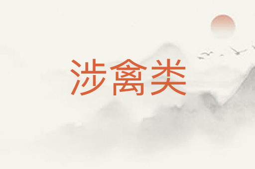 涉禽类