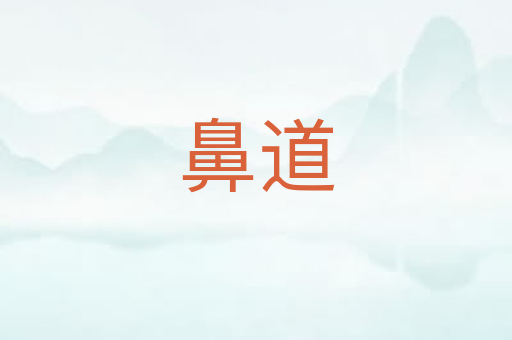 鼻道