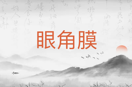 眼角膜