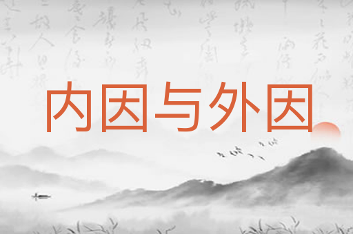 内因与外因