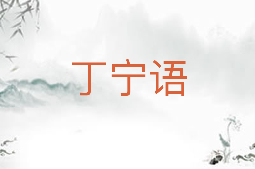 丁宁语