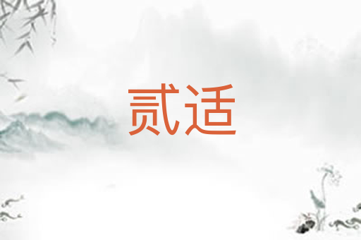 贰适