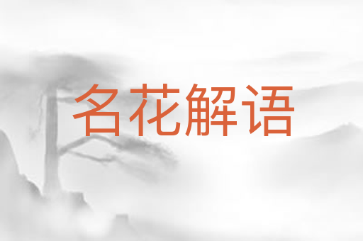 名花解语