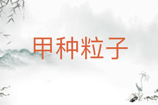 甲种粒子