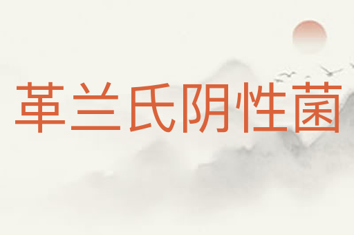 革兰氏阴性菌