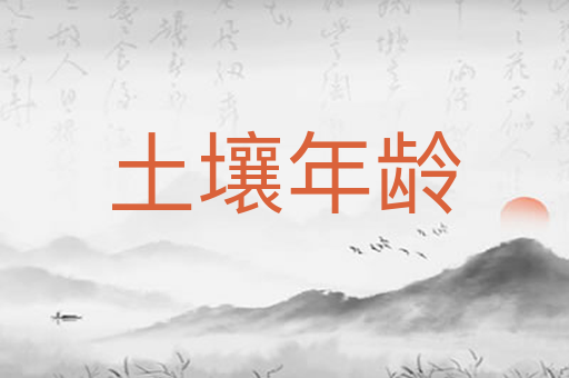 土壤年龄