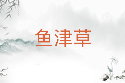鱼津草