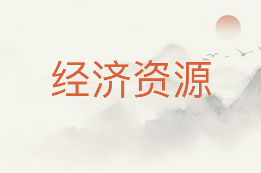 经济资源