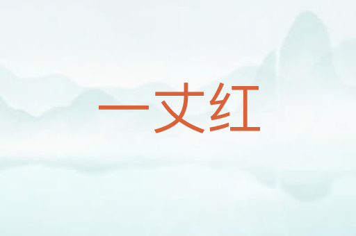 一丈红