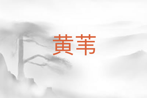 黄苇