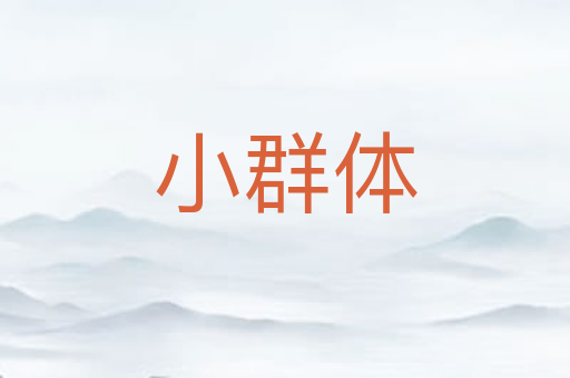 小群体