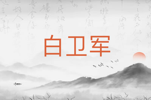 白卫军