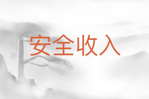 安全收入