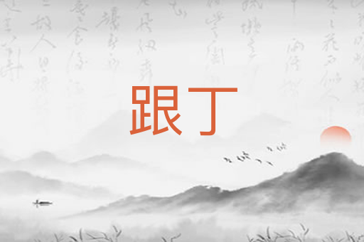 跟丁