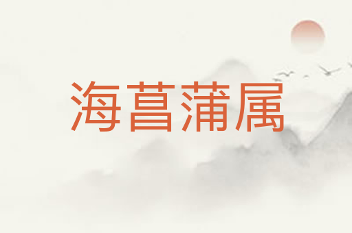 海菖蒲属