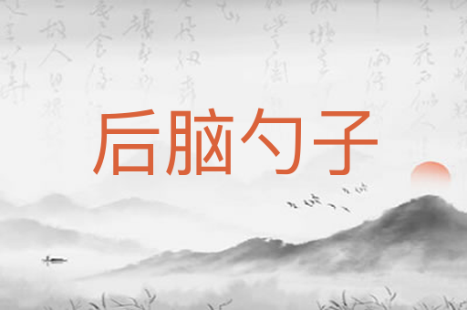 后脑勺子