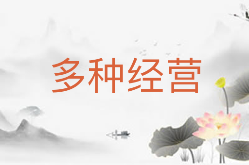 多种经营