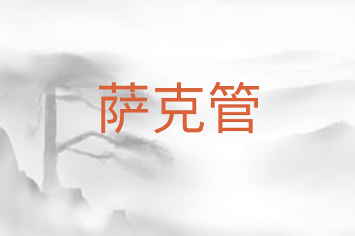 萨克管