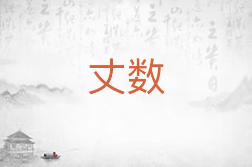 丈数