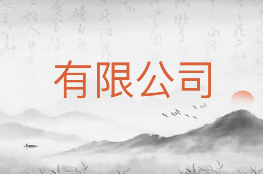 有限公司
