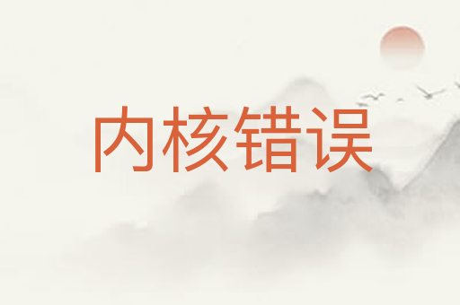 内核错误