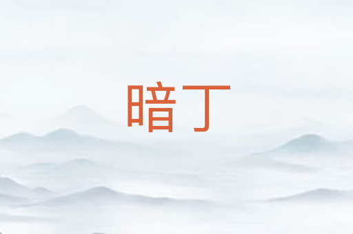 暗丁