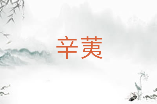 辛荑