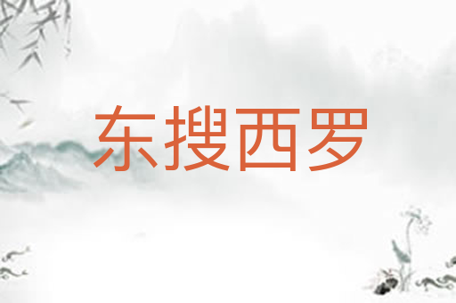 东搜西罗
