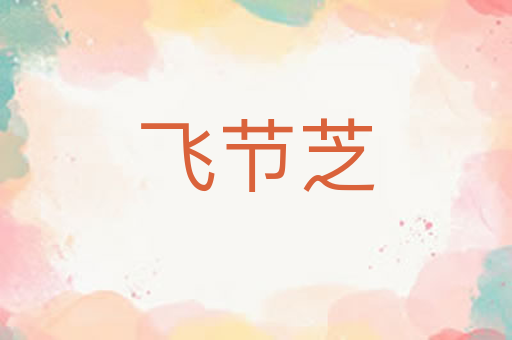 飞节芝