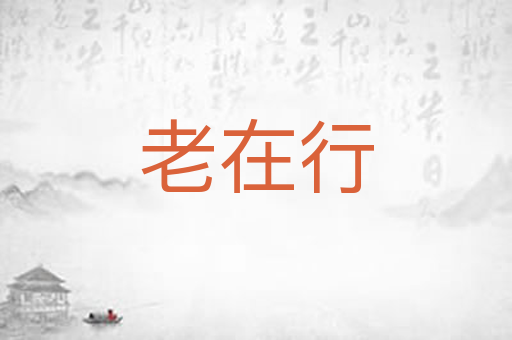 老在行