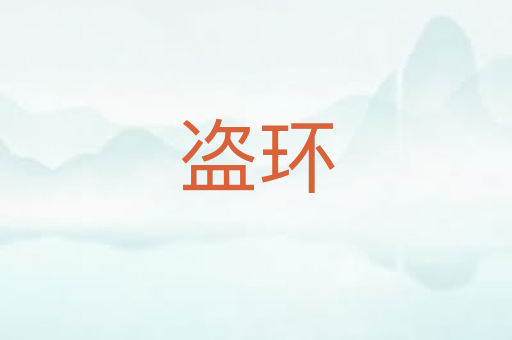 盗环