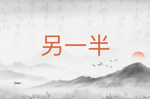 另一半