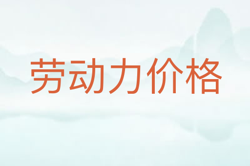 劳动力价格