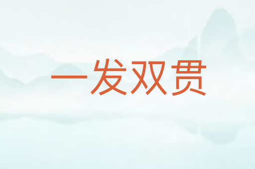 一发双贯