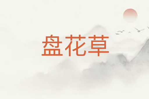 盘花草