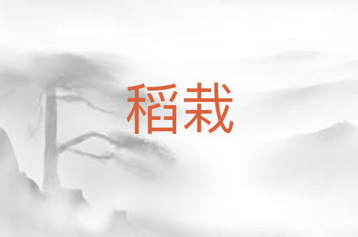 稻栽