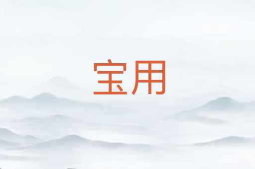 宝用