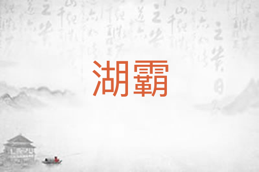 湖霸