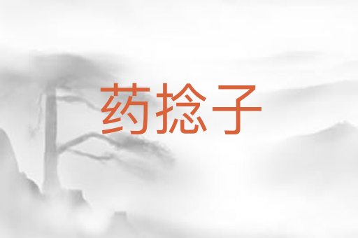 药捻子
