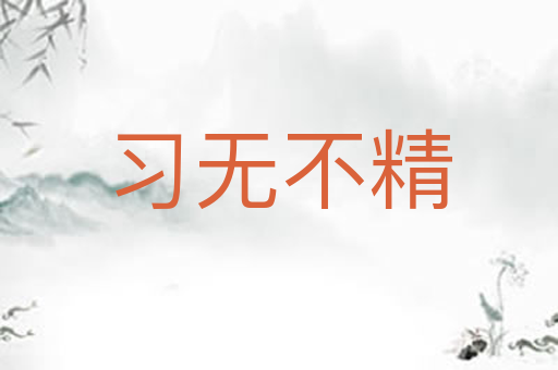 习无不精