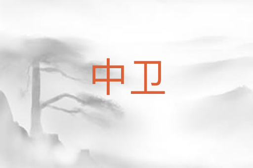 中卫