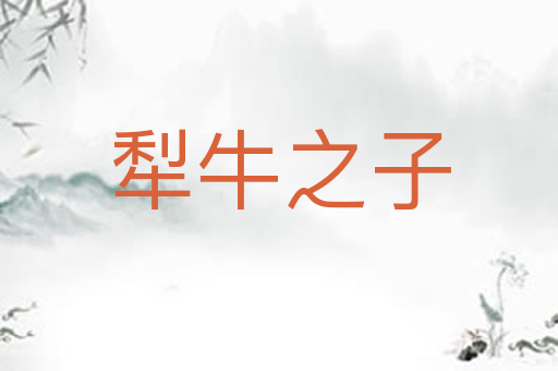 犁牛之子