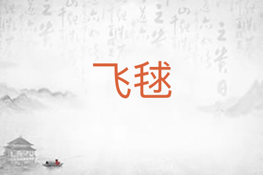 飞毬