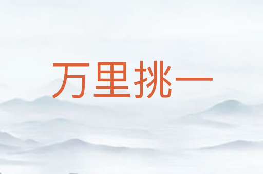 万里挑一