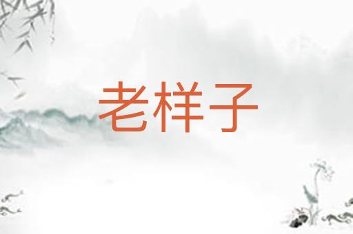 老样子